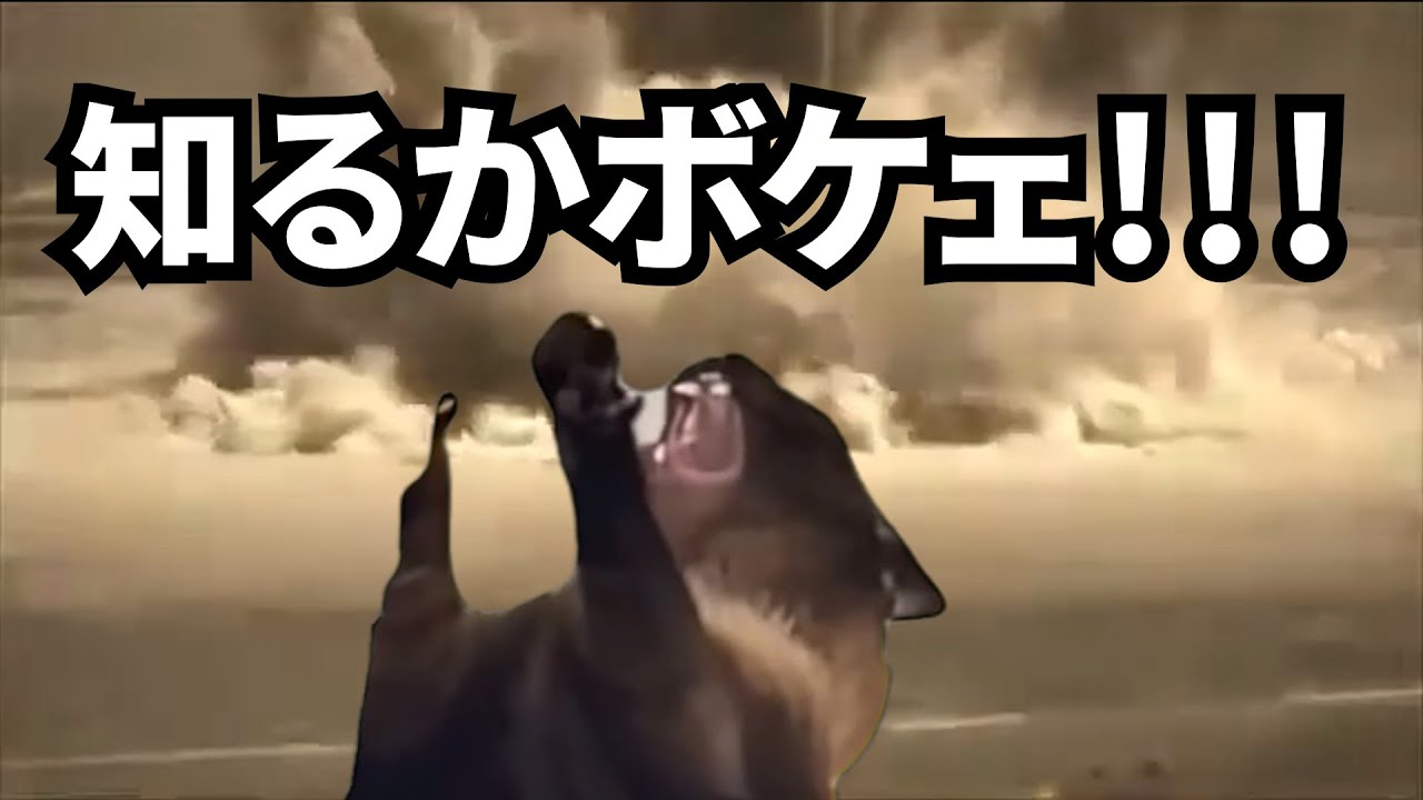 コールセンターという「人間を知れる」仕事 