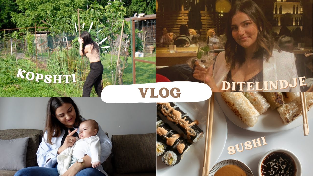Bejm sushi ne shtepi, Ditelindje , Mini Haul & Kopshti ||Vlog|| Jeulia Jewelry ||ALBJONA