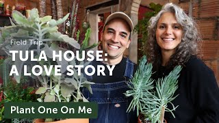 Tula House: A LOVE STORY of Running a PLANT Shop — Ep. 361 by Summer Rayne Oakes 24,265 views 2 months ago 27 minutes