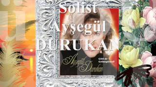 Gitti de Gelmeyiverdi-Ayşegül DURUKAN Resimi