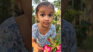 Tom&Jerryreal End Twist