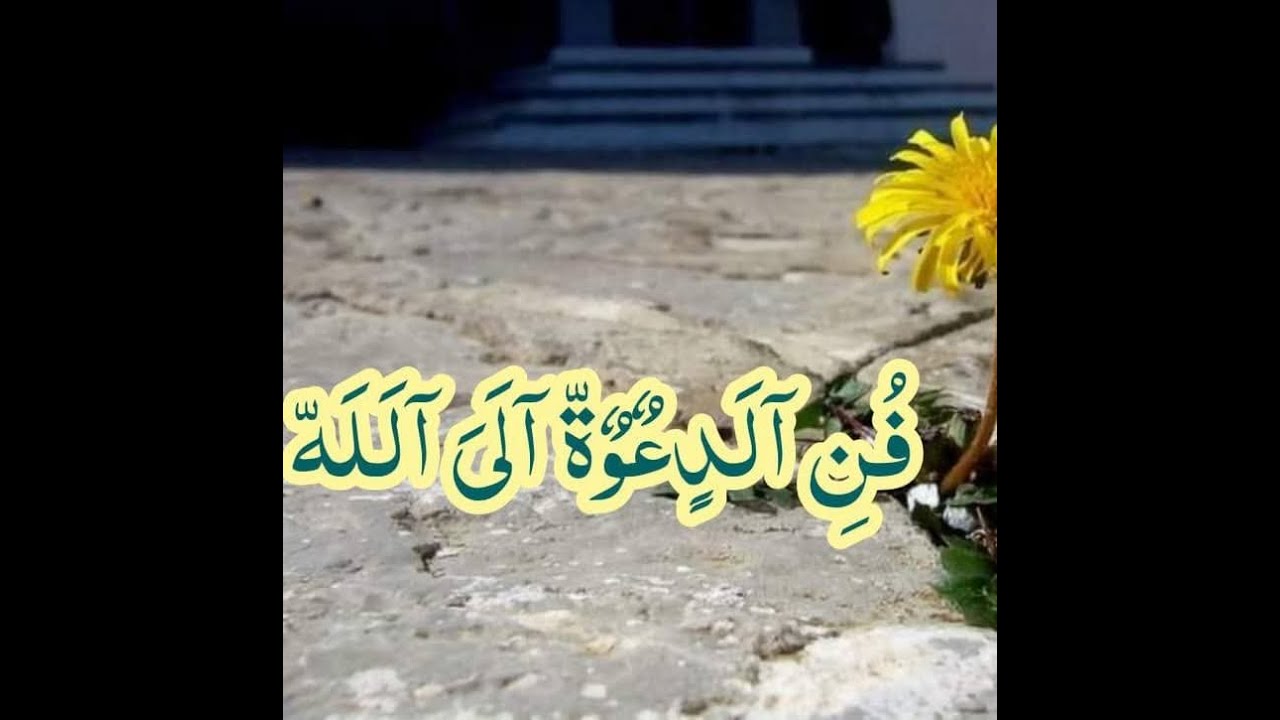 عبد المجيد أمزال فن الدعوة الى الله