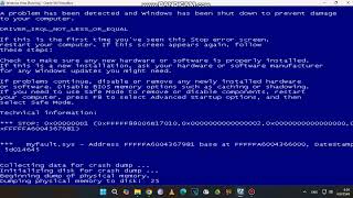 Red Faction Screaming Has BSOD VM (Windows Vista)
