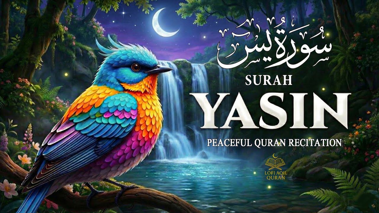 Surah Yaseen سورة يس | Soothing & Beautiful Recitation for Inner Peace by Alaa Aqel #yasin