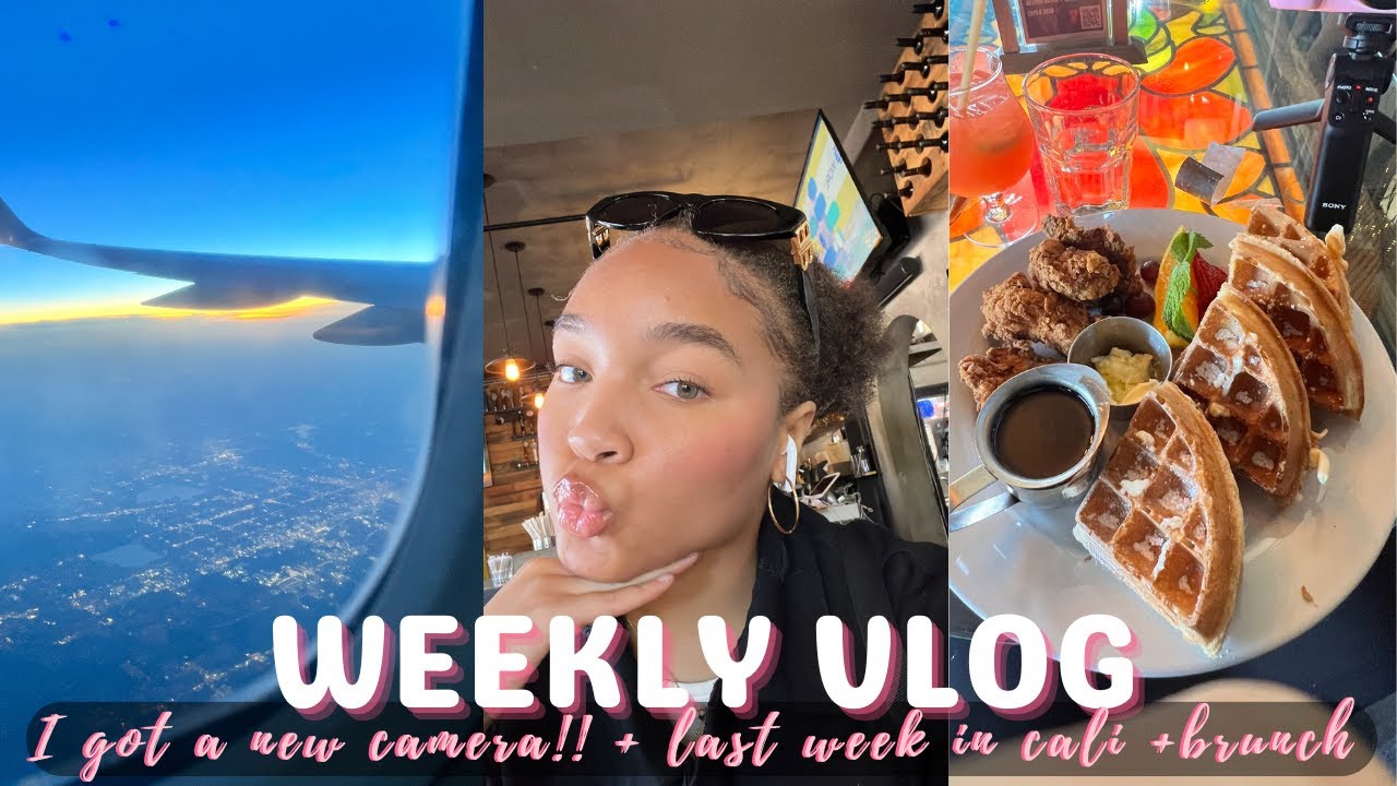 weekly vlog ! skims warehouse FAIL + new camera + dog mom stuff & more | DynastySamuel Vlogs