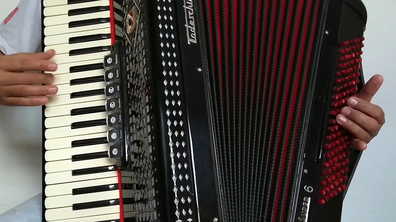 Vídeo aula acordeon Adeus Mariana