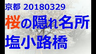 0009_01_塩小路橋の桜（#20180329 京都）　♪息抜き動画♪