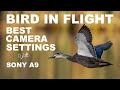 Sony A9/A9II Birds & Birds in Flight Camera Settings