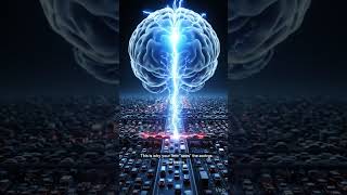 Nerve Impulse Speed Explained