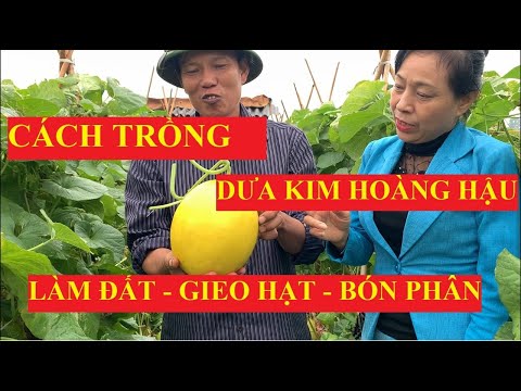 Video: Làm Thế Nào để Nuôi Củ Cải? Bón Thúc Vào Tháng 7 để Có Mùa Màng Bội Thu. Tưới Nước Gì Nếu Cây Phát Triển Kém? Phân Bón Cho Cây Con Và Củ Cải đường Trong Thời Kỳ Sinh Trưởng