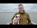 I Am The Avalanche - I MISS CALIFORNIA AND EVERY DOG I'VE EVER MET (Official Music Video)