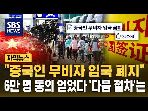 "중국인 무비자 입국 폐지"..6만 명 동의 얻었다, 다음 절차는 (자막뉴스) / SBS