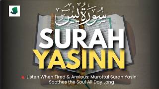 Surah Yasin (Yaseen) سورة يس | Malam Hari Non Stop | Pemuda Islam