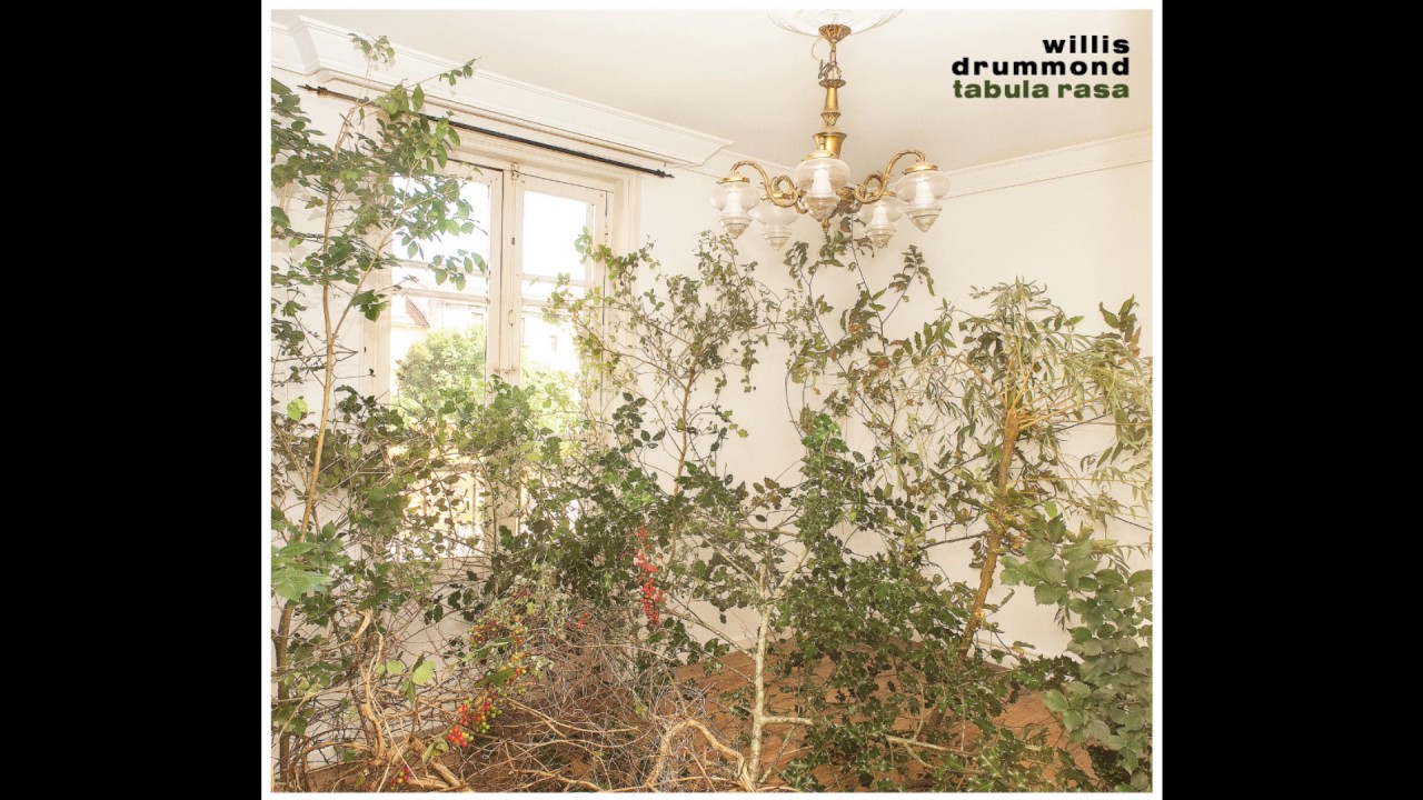 willis drummond   Orain