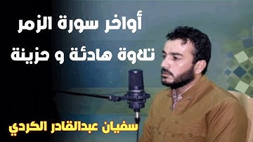 اواخر سورة الزمر تلاوة هادئة ومريحة