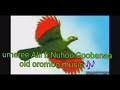 Umaree alii nuhoo goobanaa best oromoo music