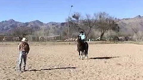 Lanny Leach Horse Trainer