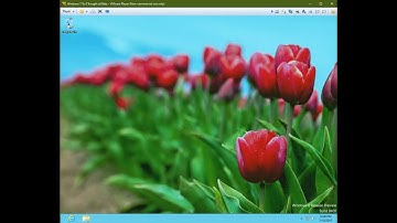 Upgrading to Windows 8 Build 8423