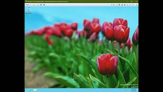 Upgrading to Windows 8 Build 8423