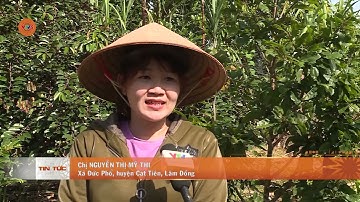 PHỤ NỮ CHUNG TAY XÂY DỰNG NÔNG THÔN MỚI | VTV5