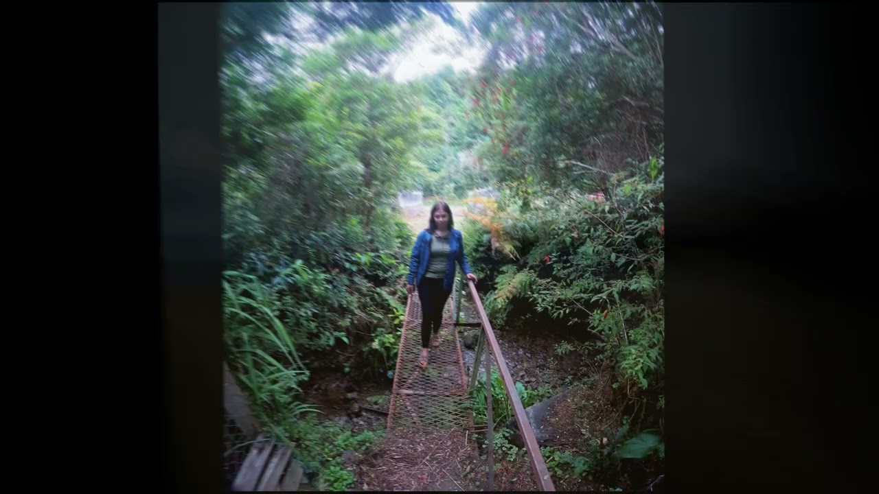 SUR DE CHILE SAN JUAN DE LA COSTA