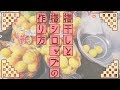 【梅仕事】凍らせないで！梅シロップの作り方とズボラな梅干しの作り方