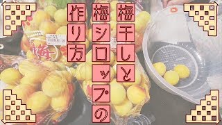 【梅仕事】凍らせないで！梅シロップの作り方とズボラな梅干しの作り方