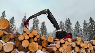 Komatsu Forestry - Customer review of TimberPro 775D processor