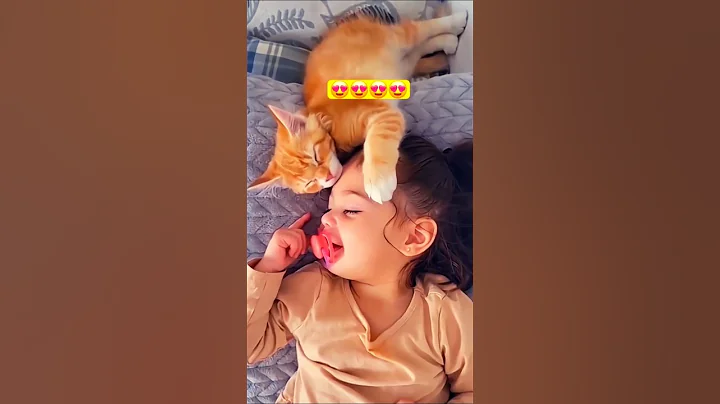 Video 8102001: cats vs babies funny, animals pets funny fails, pets animals fun