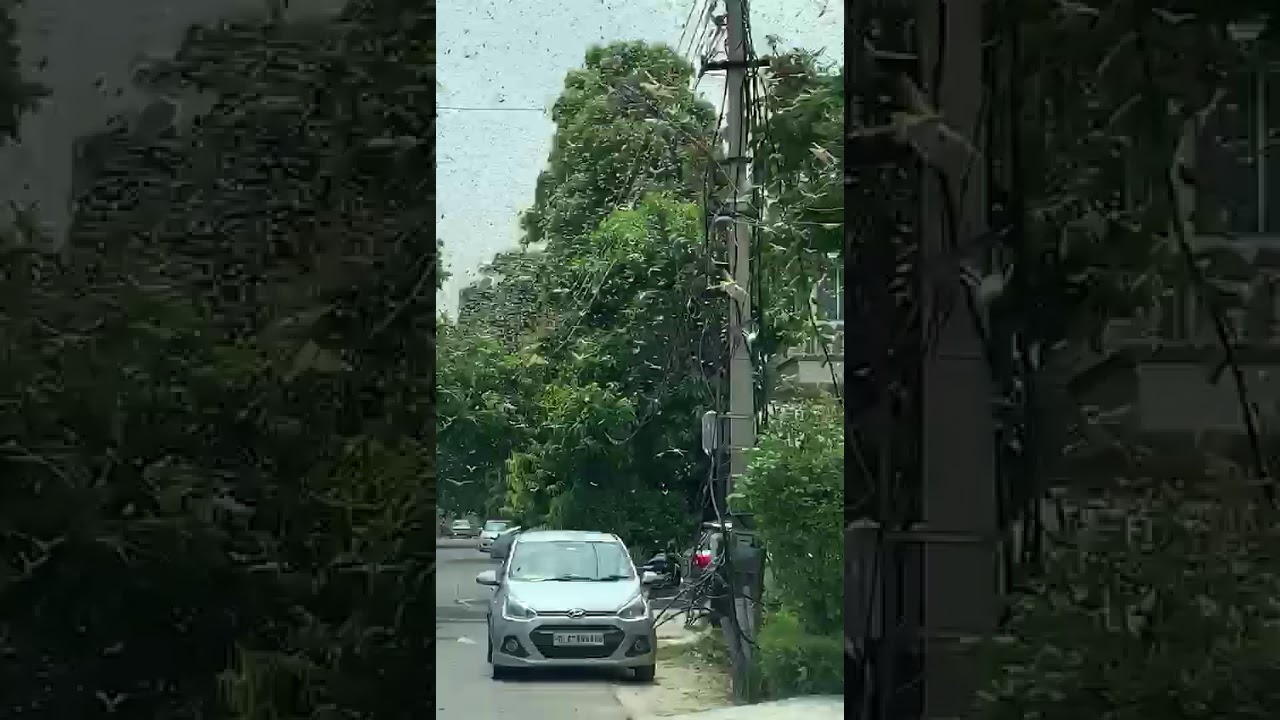 Tidi Attack Near Mg Road Gurgaon YouTube Tidi Attack Near Mg Road Gurgaon YouTube