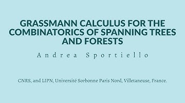Andrea Sportiello - Grassmann Calculus for the combinatorics of Spanning Trees and Forests