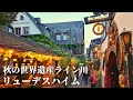 【黄金のブドウ畑を空中散歩！】美しき世界遺産ライン川とワインの街リューデスハイムをご案内
