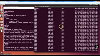 sysdig and csysdig demo with multi-container Docker application