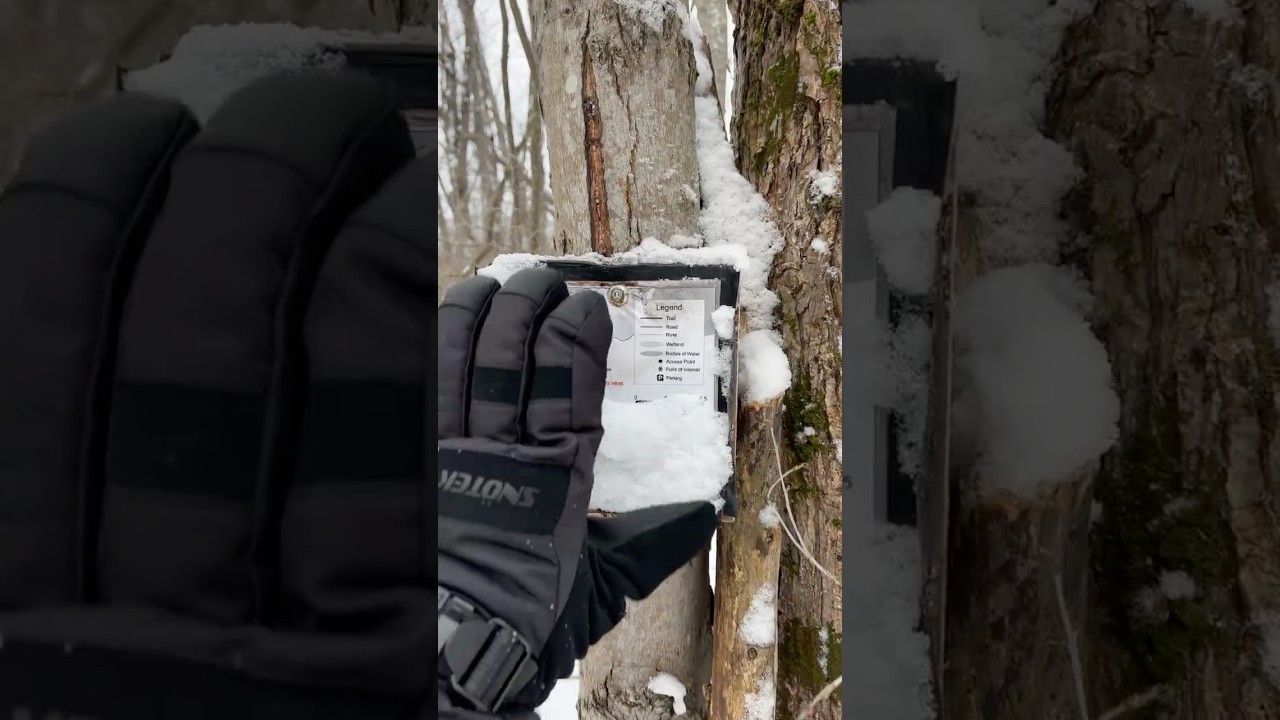 Snowy Trail Map Reveal – Winter Forest Walk Starts ❄️🌲 @sidewalktotrail