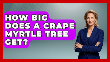 How Big Does A Crape Myrtle Tree Get? - The Plant Enthusiast