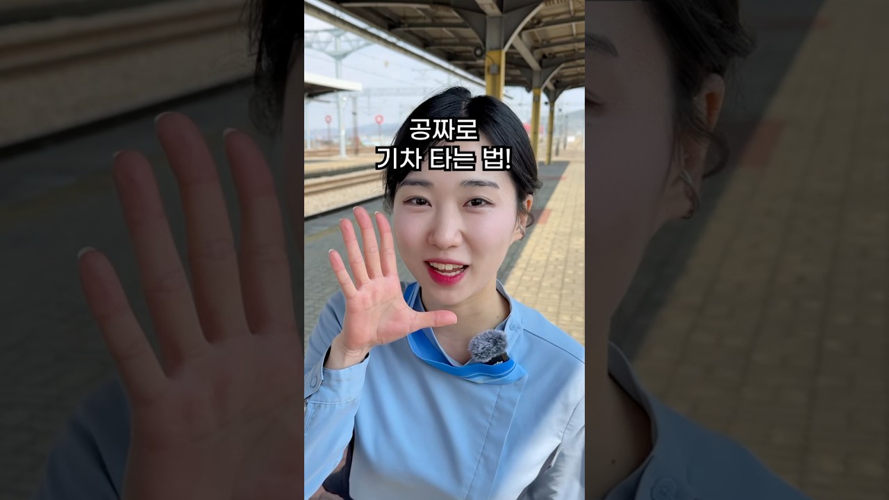 여행가는 달 #코레일 #KTX