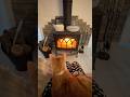 My Favorite Cozy Spot僕の1番好きな場所　#cat #猫 #cutecat #cat #catlover #shorts