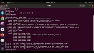 Jasmin Bulk SMS Gateway Installation Remote Support  Any linux