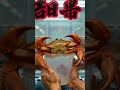 😱 Japan में Machine से Live Crabs मिलते हैं! हर 23 लोगों पर एक Machine!  #facts #shockingfacts360