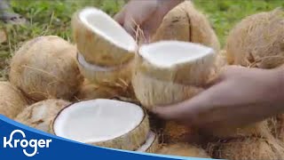 Where do coconuts come from? | Sustainability | Kroger