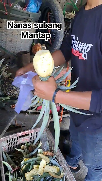 nanas subang mantap
