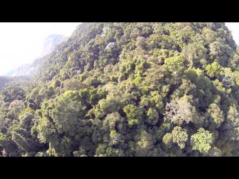 CORCOVADO TRAIN