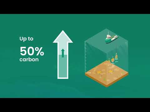 Subsea Connect Intervention Solutions