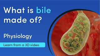 Composition of bile | MediMagic | 3D video