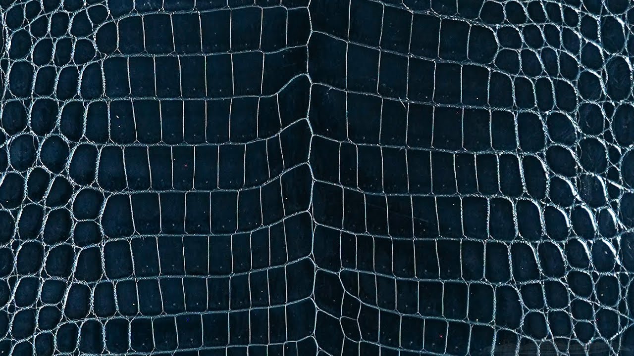 Niloticus Midnight Green Glazed 32 to 34cm  .7mm