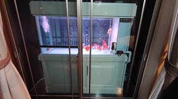 Prasert BKN - Project งาน O4FS อ่างไฟเบอร์ 2.5*1.2*1.3 เมตร + ตู้เฟอร์ 72" + ล้าง 100/ ตู้ 60" Set 3