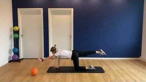 SMC Amersfoort - core stability training - niveau beginner