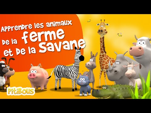 Apprendre le vocabulaire des animaux de la ferme et de la savane - Apprendre le français