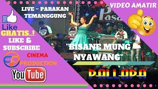 BISANE MUNG NYAWANG ~ AYU ARSITA - NEW PALLAPA LIVE PARAKAN TEMANGGUNG