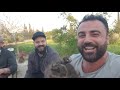 Sleiman nasraسليمان نصرةوعادل نصرة